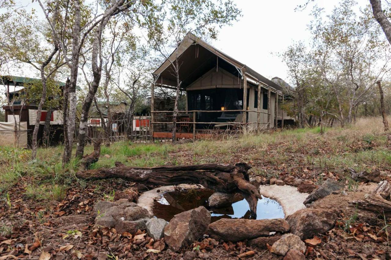 הוילה שמורת צייד בלולה Isambane Camp מראה חיצוני תמונה